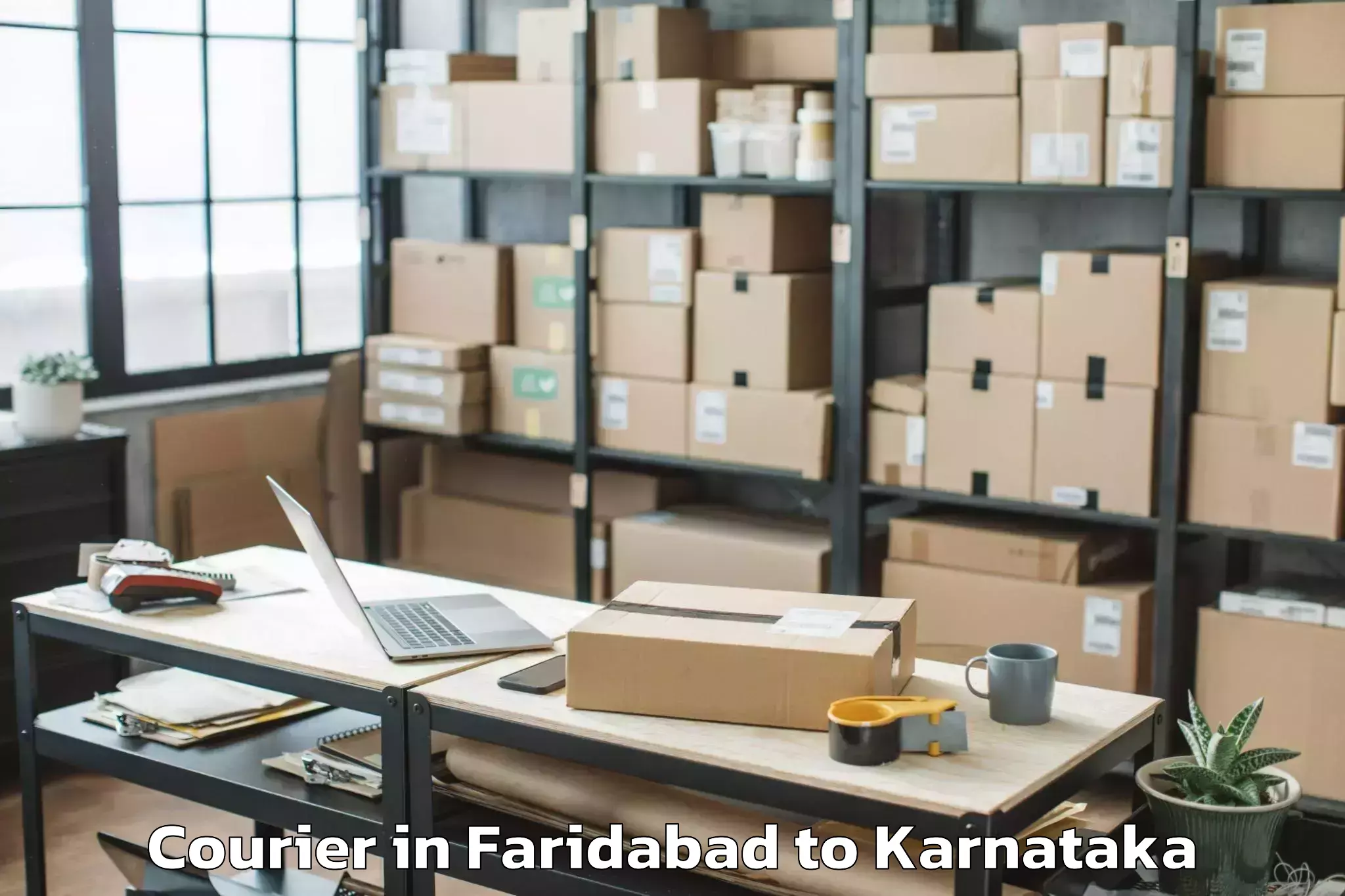 Expert Faridabad to Hassan Courier